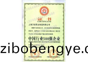 中國500強(qiang)企業(yè)